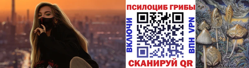 гидра как войти  Пудож  Псилоцибиновые грибы Psilocybe 